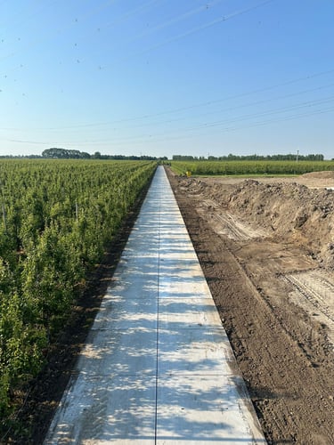 Zeeuws bedrijf Vogelaar Fruitcultures
