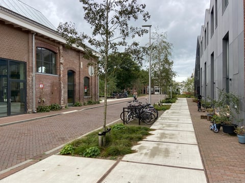 Wisselspoor